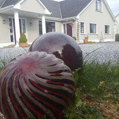 Ely House B&B Shannonbridge Luaran gambar