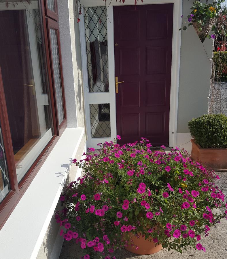 Ely House B&B Shannonbridge Luaran gambar