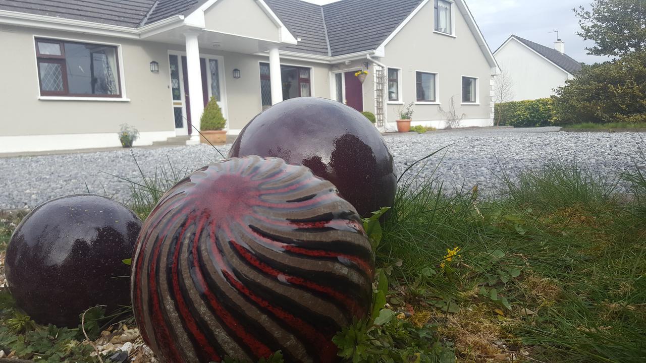 Ely House B&B Shannonbridge Luaran gambar