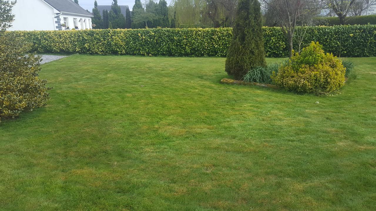 Ely House B&B Shannonbridge Luaran gambar