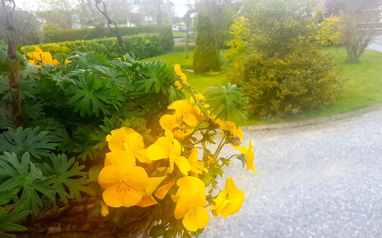 Ely House B&B Shannonbridge Luaran gambar