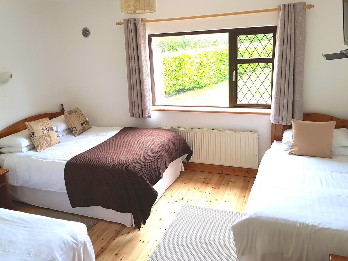 Ely House B&B Shannonbridge Luaran gambar